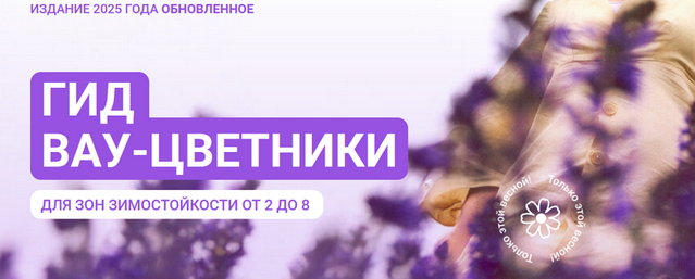 1748212803642.png