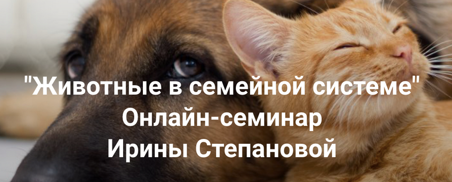 1756273978253.png