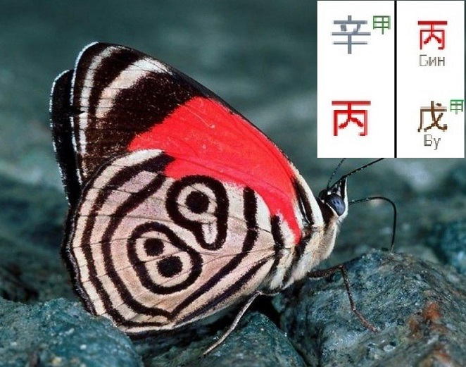 1756438401541.png