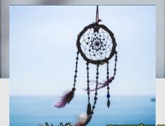 1701168014605.png