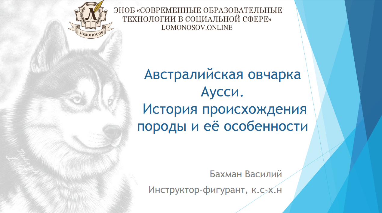 1706685641314.png