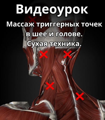 1712039629233.png