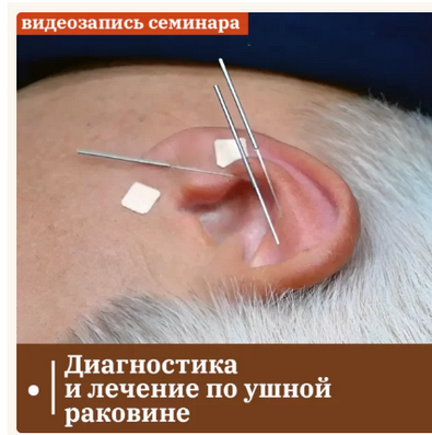 1709981226679.png