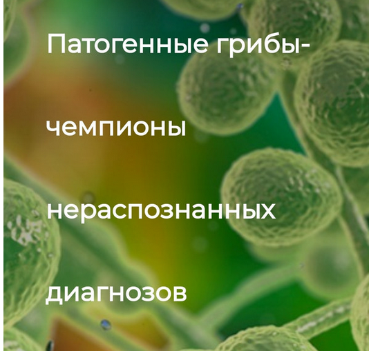 1701239536877.png