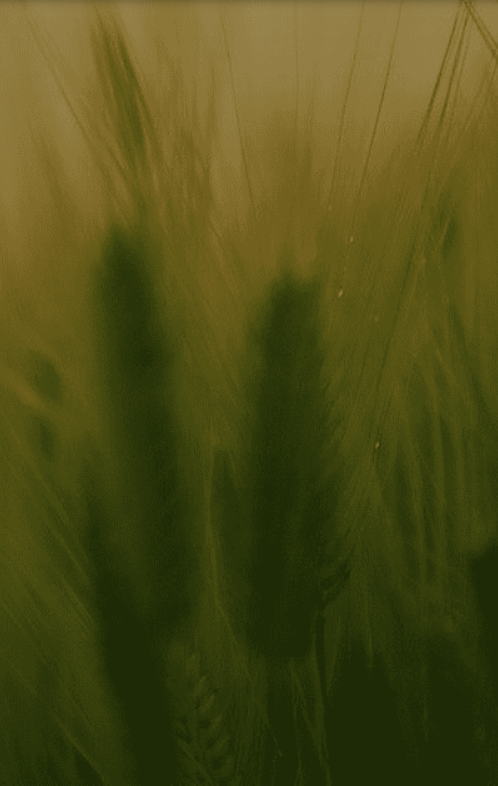 1694417997492.png