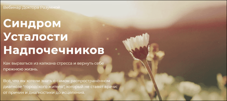 1665044332856.png