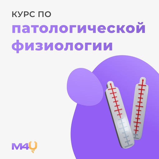 1711006189678.png