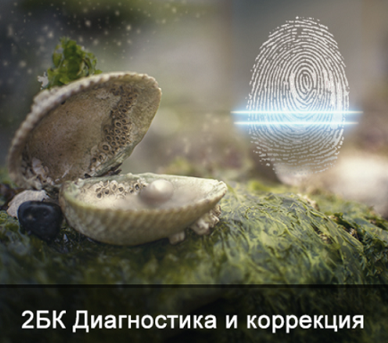 1733900510037.png