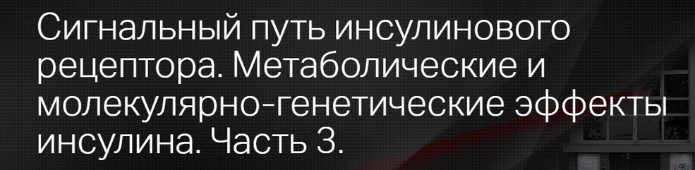1697570803913.png