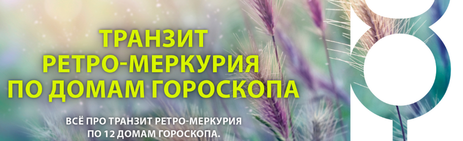 1704623816006.png