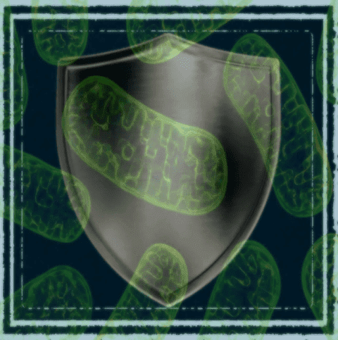 1677315999143.png