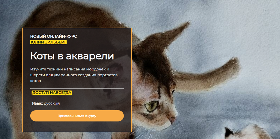 1716961530566.png
