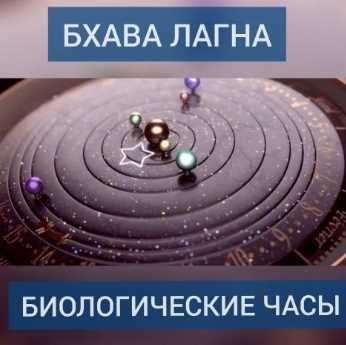 1694426706425.png