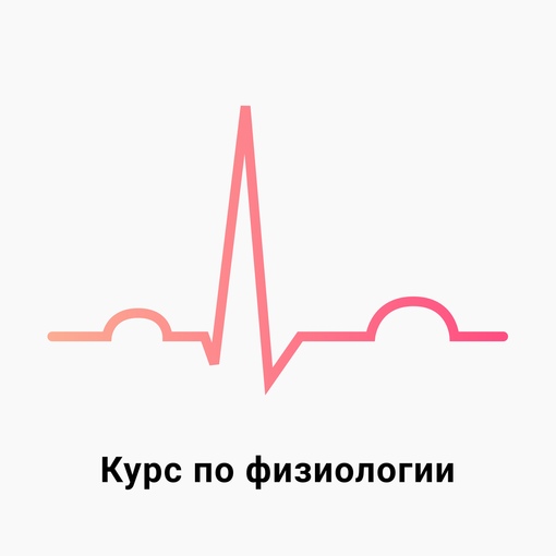 1702448772773.jpeg