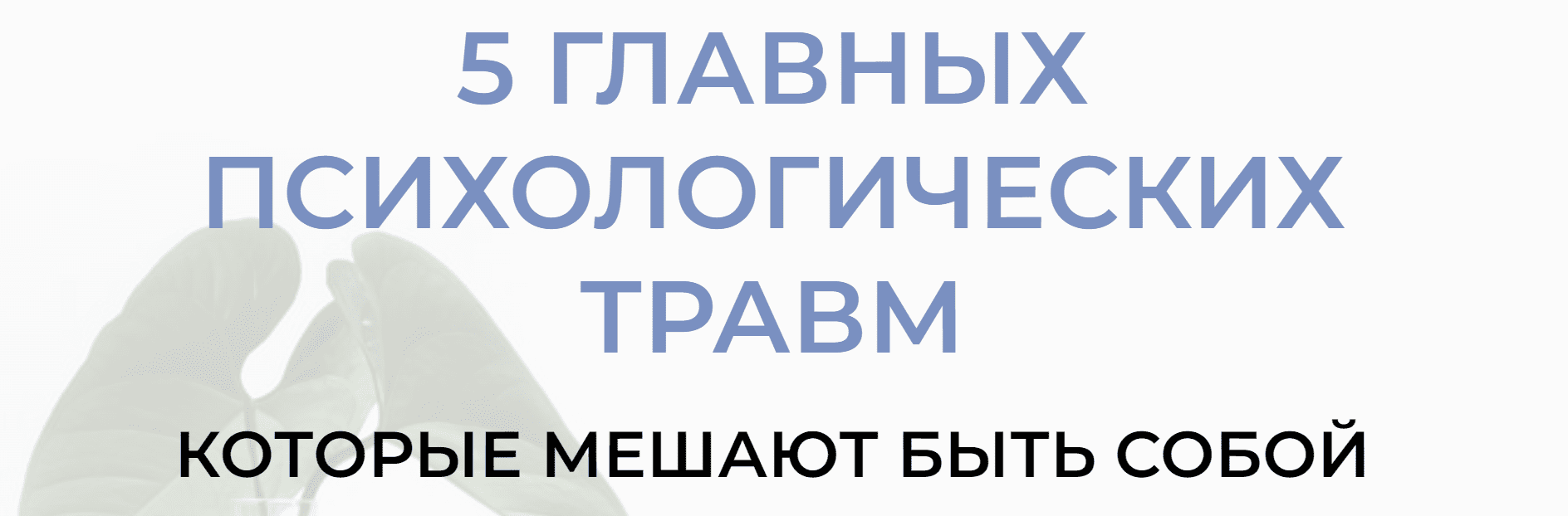 1694160721933.png