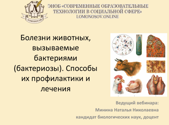 1710142785511.png