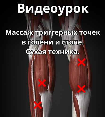 1711005632345.png